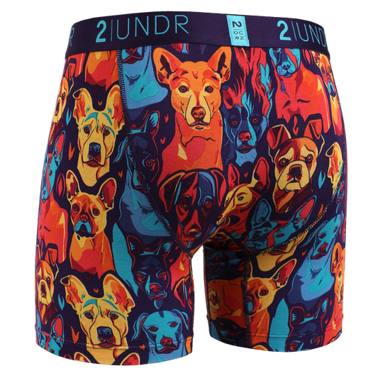 Swing Shift Boxer Brief 2U01BB.506 - Style Coast2 Under683612322908