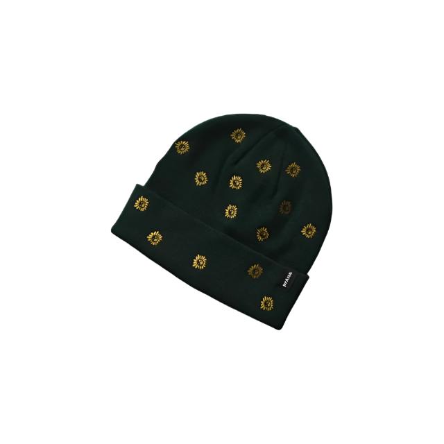 Wild Now Beanie