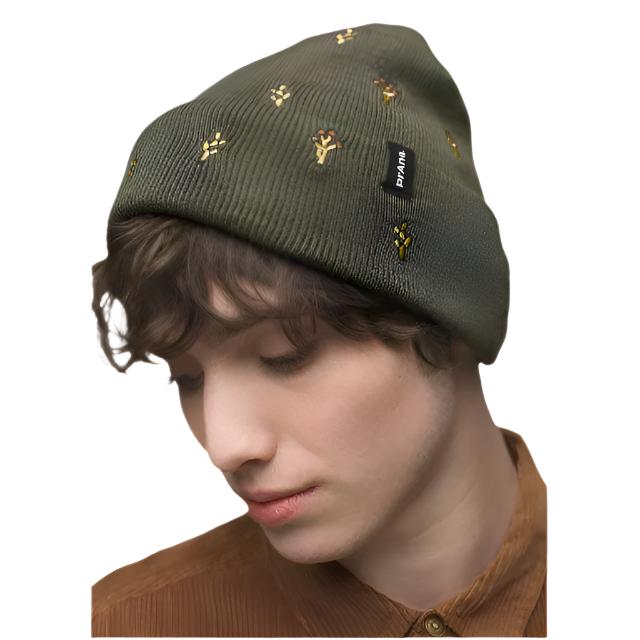 Wild Now Beanie
