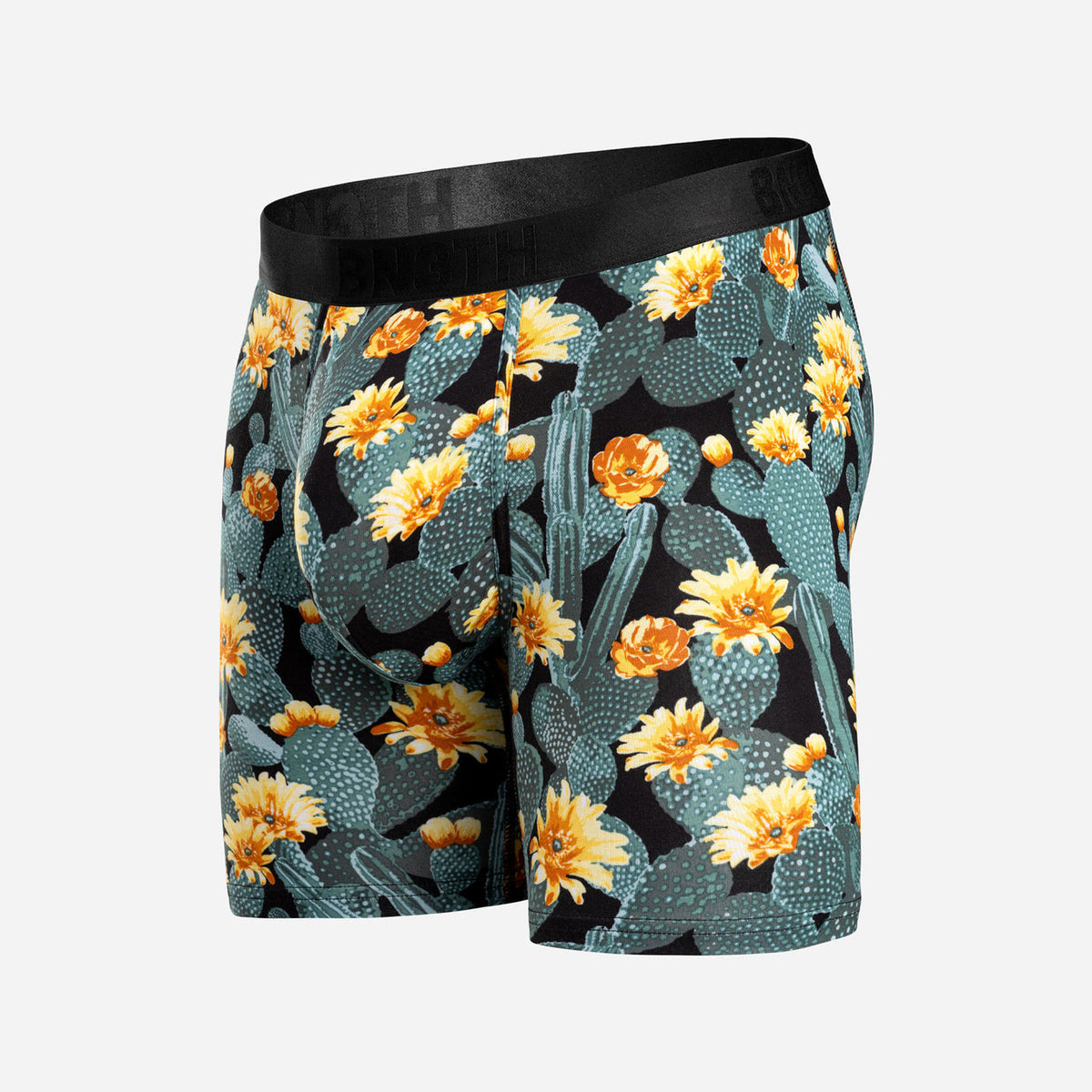 BN Classic Icon Boxer Brief Print M111059~~